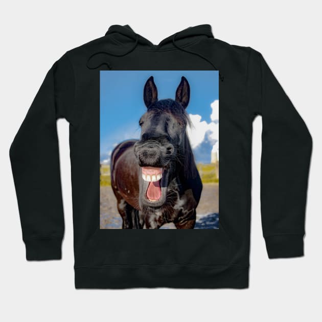 Funny Horse Hoodie by kawaii_shop